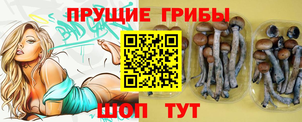 Дубна  Псилоцибиновые грибы GOLDEN TEACHER  Вход с VPN 